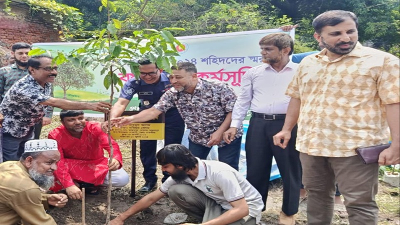 সাতক্ষীরায় জুলাই গণঅভ্যুত্থানে ৫ শহিদের স্মরণে বৃক্ষরোপণ 